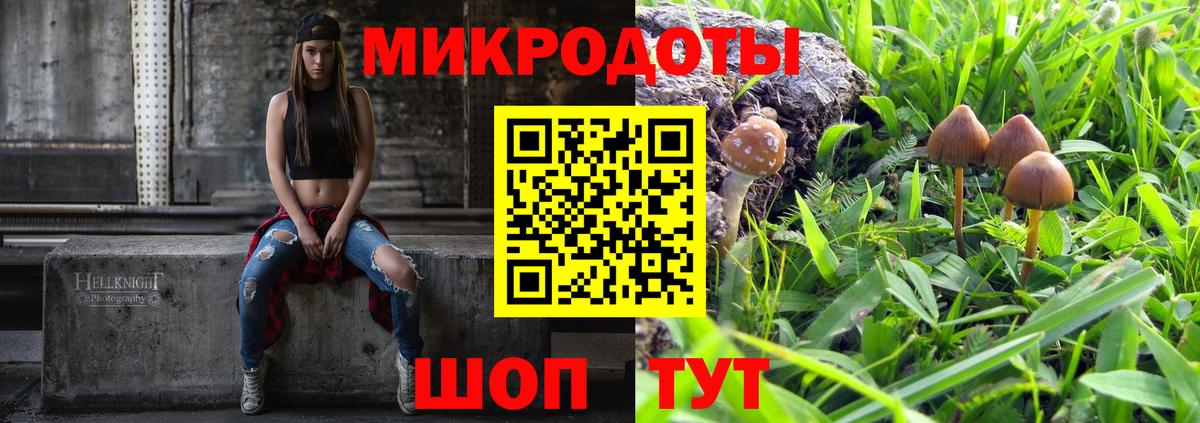 Качканар  даркнет сайт  Вход с VPN  Галлюциногенные грибы мухоморы 